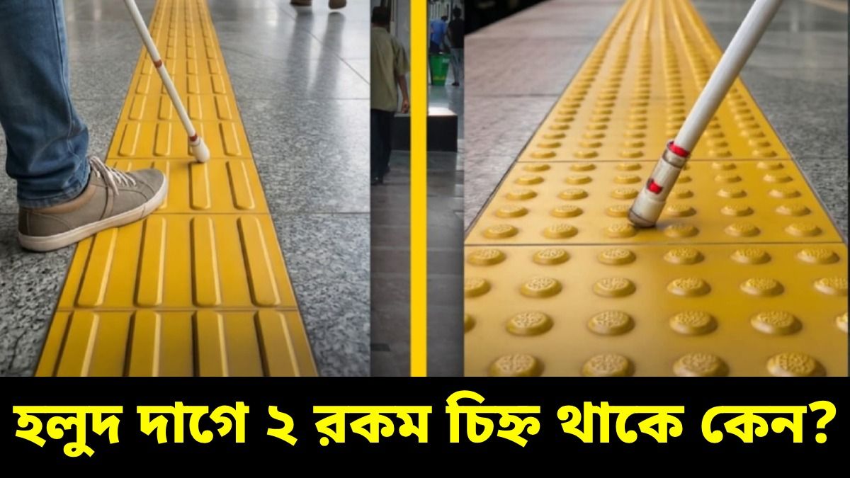 রেল স্টেশনে হলুদ দাগে দু'রকম চিহ্ন কেন থাকে? পিছনে রয়েছে বড় কারণ