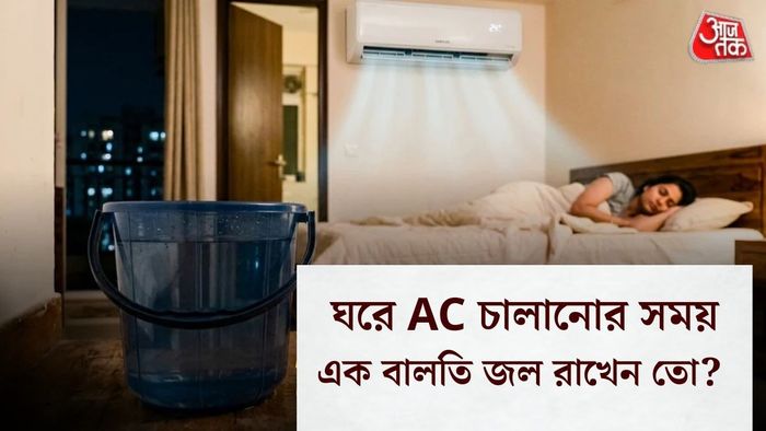 ঘরে AC চালানোর সময় এক বালতি জল রাখেন তো?