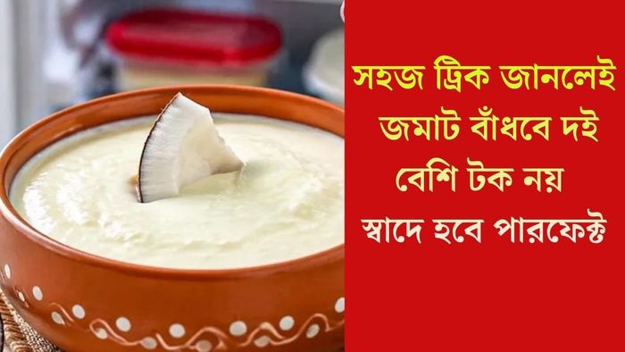সহজ ট্রিক জানলেই জমাট বাঁধবে দই