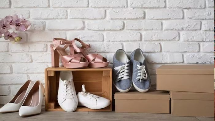 Vastu Tips for Shoe:এই রঙের জুতো ফেলে দিন