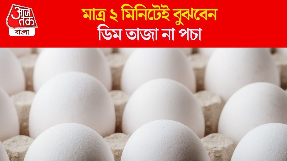   মাত্র ২ মিনিটেই বুঝবেন ডিম তাজা না পচা