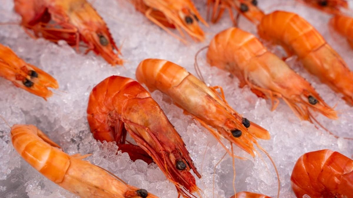 মোদী সরকারের প্ল্যান B চিন? পিছিয়ে গেল আমেরিকা, ভারত থেকে সি ফুড কেনা বাড়াল বেজিং