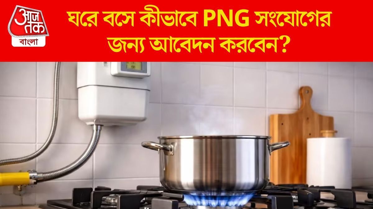  PNG কানেকশনের জন্য কীভাবে আবেদন করবেন? সম্পূর্ণ প্রক্রিয়াটি জেনে রাখুন