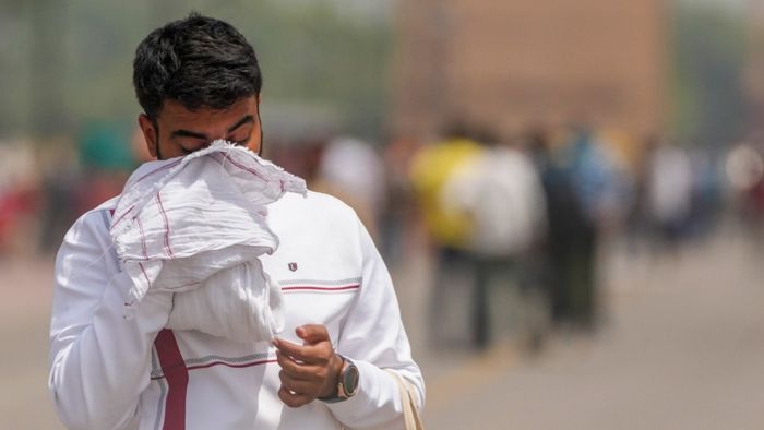 ফাইল ছবি