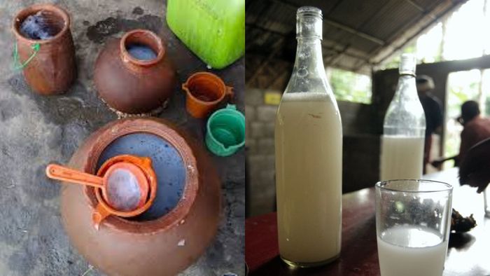 তাড়ি।-ফাইল ছবি