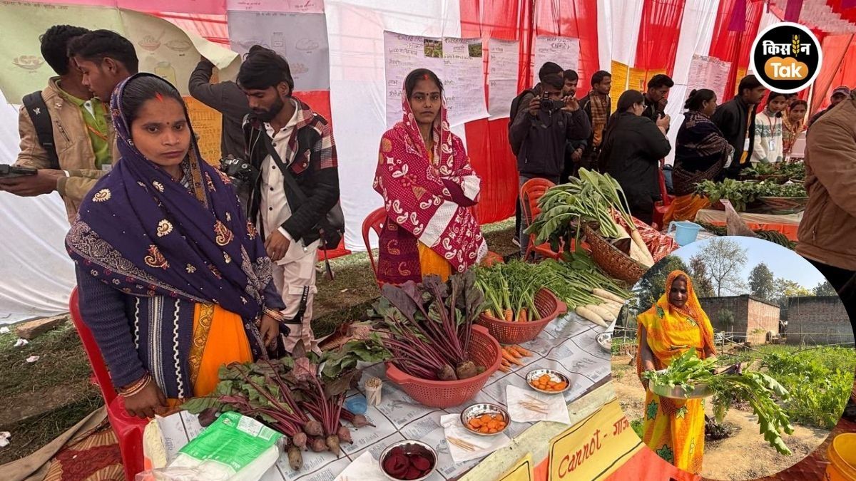 কাঁকরোলের উপকারিতা জানেন? চমকে উঠবেন