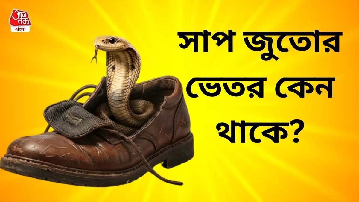 সাপের অজানা তথ্য 