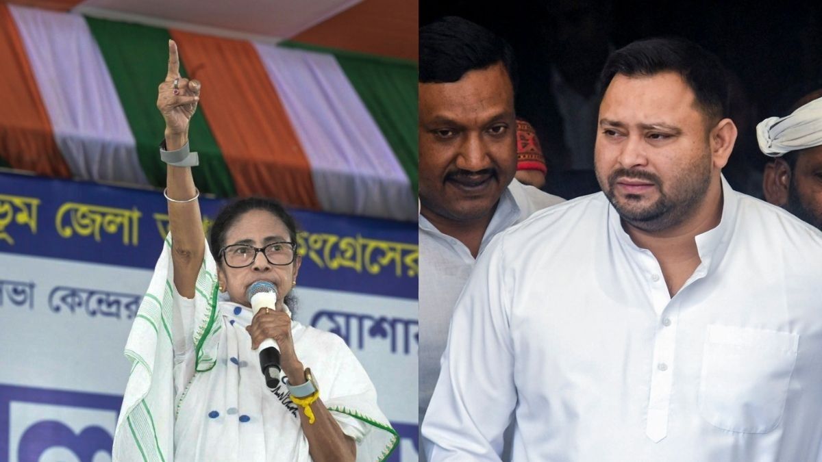 'এরাজ্যে বসবাসকারী বিহারীরা মমতার আমলে ভালো আছে', TMC-র হয়ে বাংলায় প্রচারে তেজস্বী