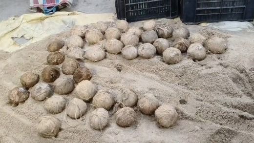 ভাঙড়ে TMC কর্মীর বাড়ির কাছে উদ্ধার ১০০টি তাজা বোমা,ভোটের আগে বিরাট চাঞ্চল্য