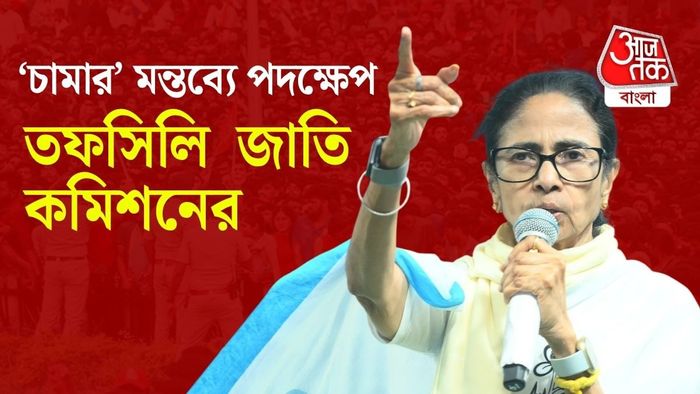 অভিযোগ, সম্প্রতি এক জনসভায় 'চামার' শব্দ ব্যবহার করেন মমতা।