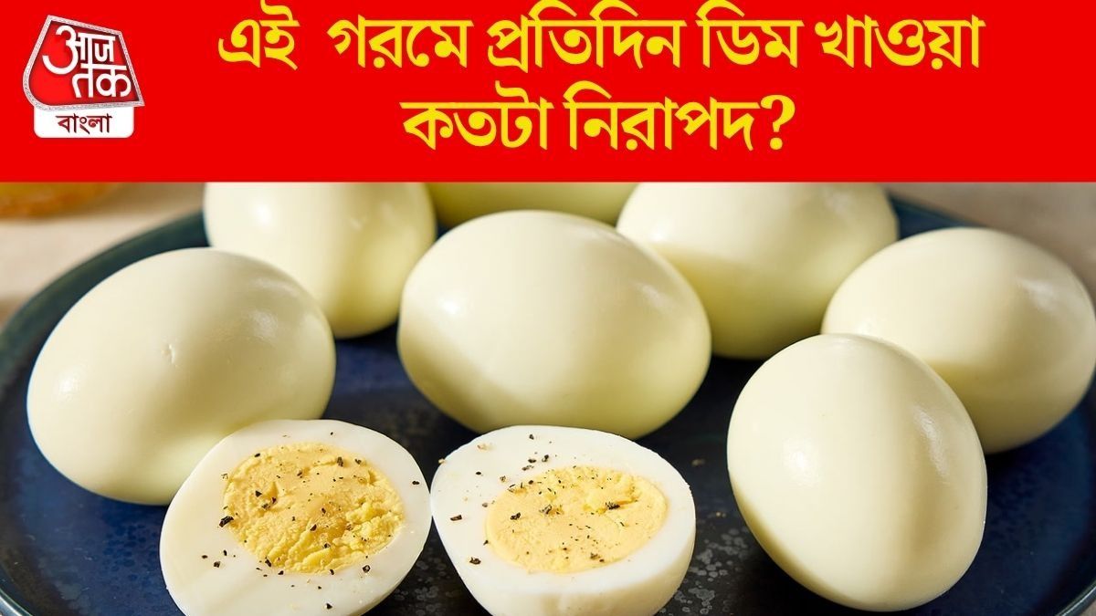 এই গরমে ডিম খাওয়া উচিত? খেলে দিনে কটা, সঠিকটা জানুন