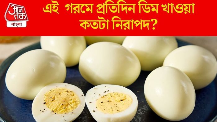 এই গরমে প্রতিদিন ডিম খাওয়া কতটা নিরাপদ?