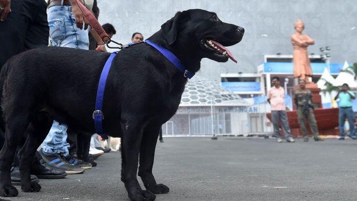 ফাইল ছবি