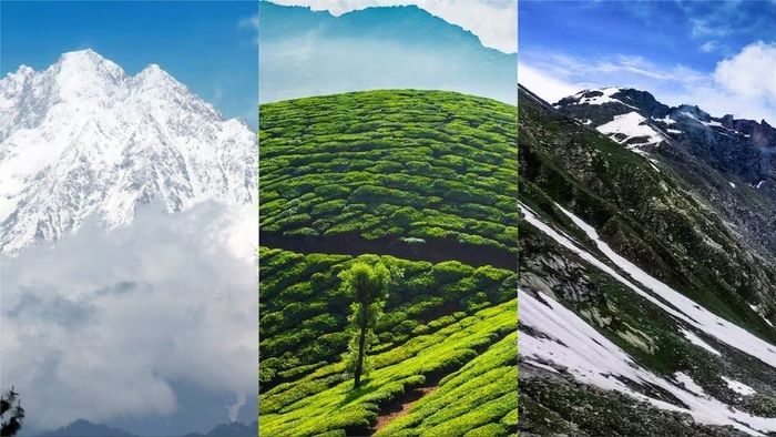 দার্জিলিং, সিকিমে, দেশি পর্যটকের আকাল