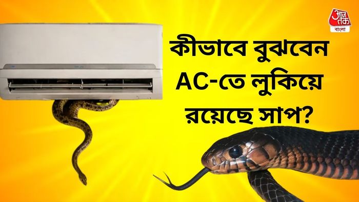 প্রতীকী ছবি