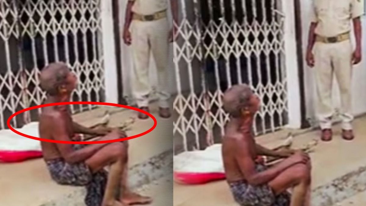 ডেথ সার্টিফিকেট কই? ব্যাঙ্কের প্রশ্নে কবর খুঁড়ে বোনের কঙ্কাল নিয়ে হাজির দাদা