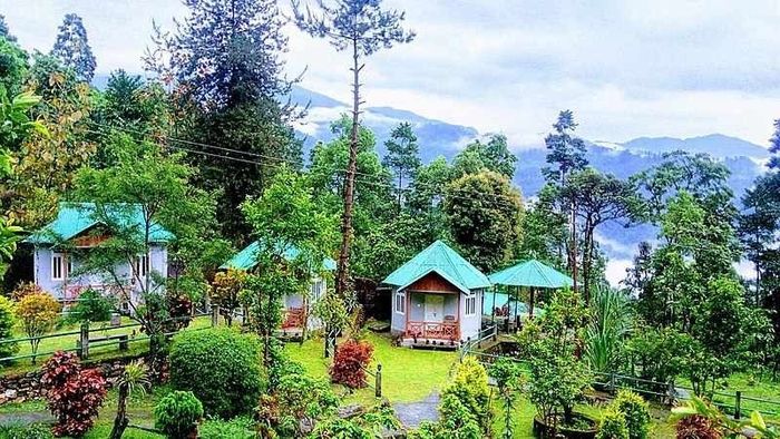 Dooars Monsoon Tourism Package: বর্ষায় ডুয়ার্সে বনবাসের বন্দোবস্ত, বন্ধ থাকলেও চুটিয়ে উপভোগ করতে পারবেন জঙ্গল