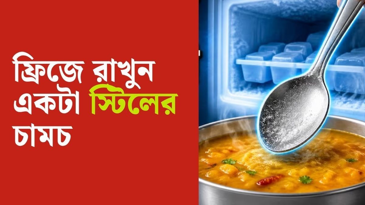 ফ্রিজে রাখুন স্টিলের চামচ