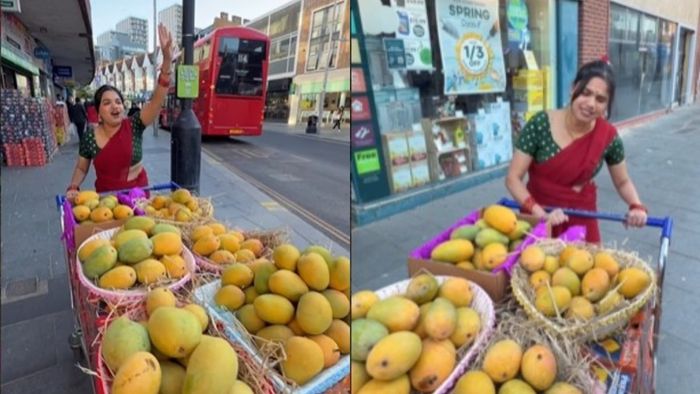 indian mango london video, mango price london vs india, সাজানো ঠেলাগাড়িতে রাখা রয়েছে টাটকা আম