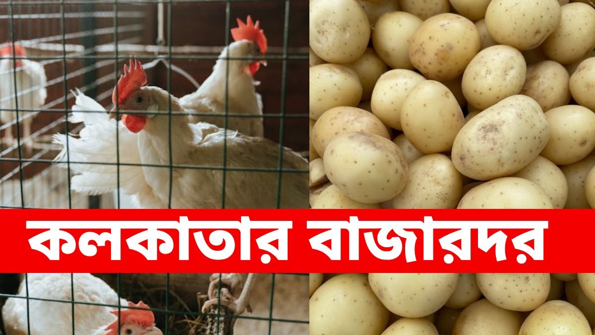 রবিবার চিকেন, মাটন কিনতে লাইন, কলকাতায় আজ দাম কত? দেখুন সবজির দরও