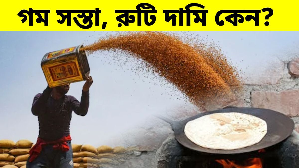 সস্তায় বিকোচ্ছে গম, তবু আটা ও রুটির দাম কমছে না কেন? আসল কারণ জানুন
