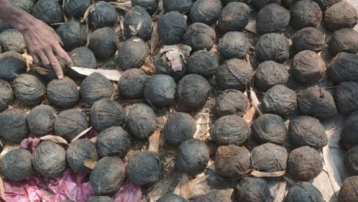 পানিহাটিতে বোমাবাজি (প্রতীকী ছবি)