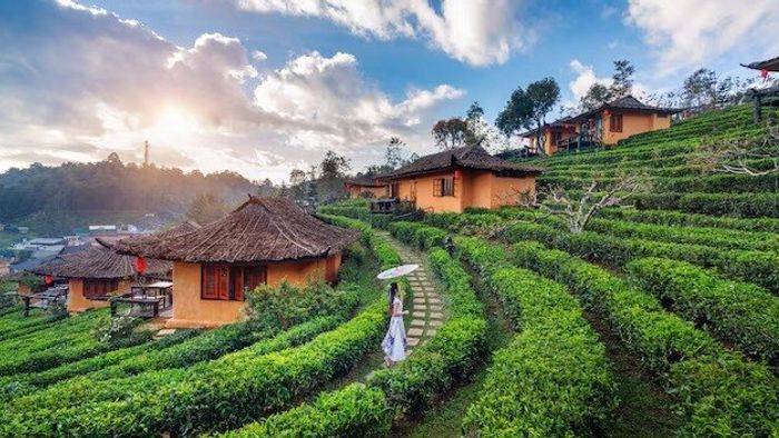 Summer Vacation Destinations 2026: গরমে ছুটিতে ঘুরে আসুন উত্তরের এই ৩ অফবিট হিল স্টেশনে, খুব কম লোকই চেনে