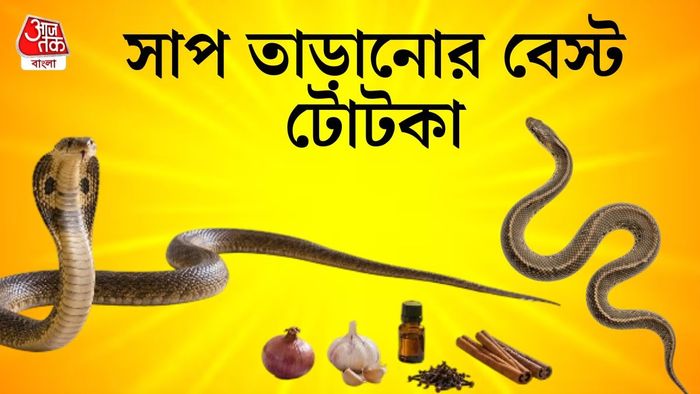 সাপ তাড়ানোর উপায়