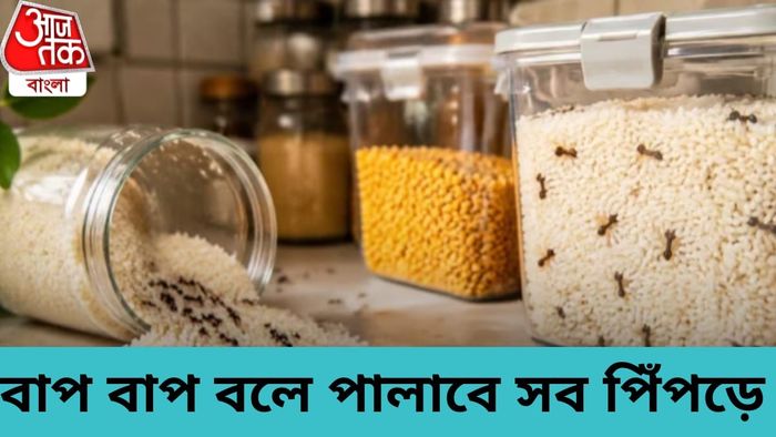 চাল ও ডাল সংরক্ষণের সময় পাত্রগুলো ভালোভাবে বন্ধ করে রাখা জরুরি