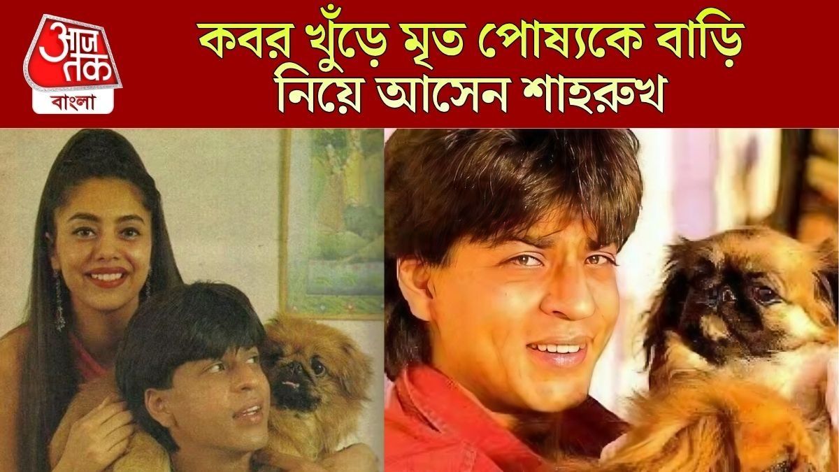 কবর খুঁড়ে মৃত পোষ্যকে বাড়ি নিয়ে আসেন শাহরুখ, তারপর...