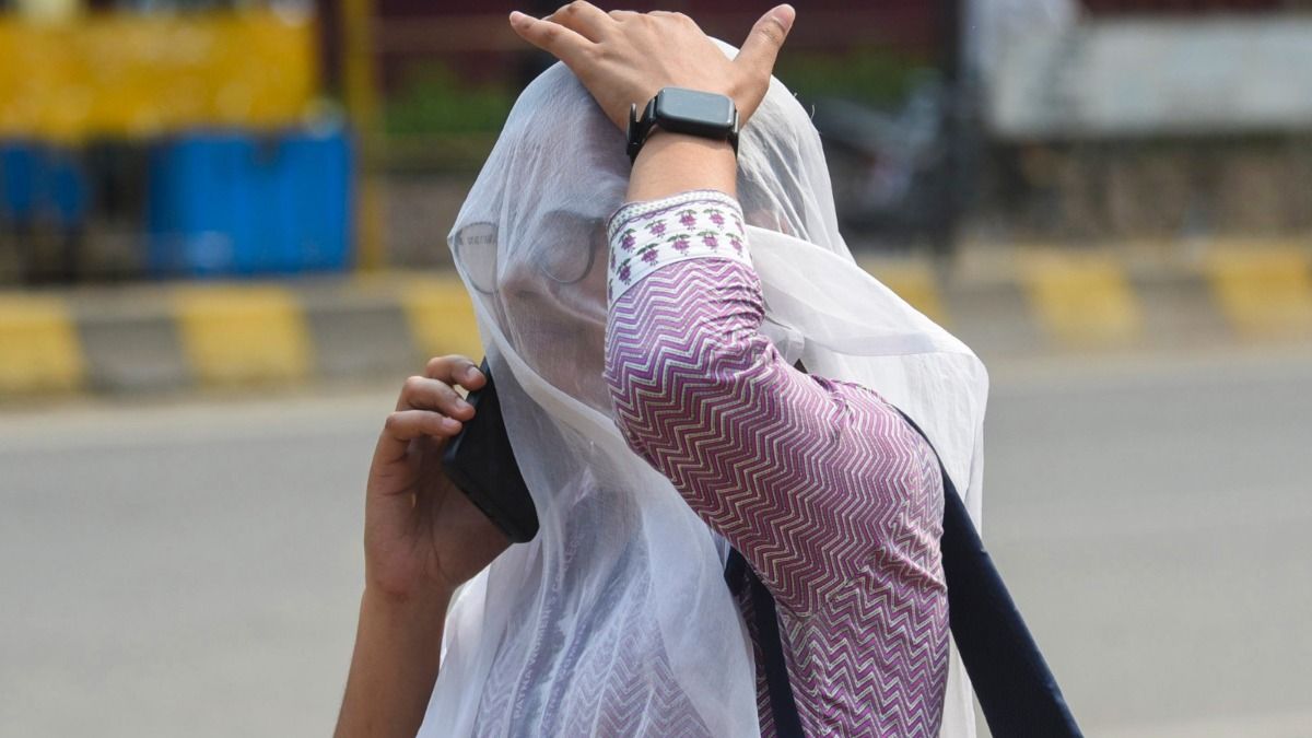 ফাইল ছবি