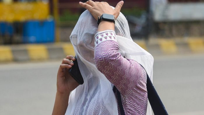 ফাইল ছবি