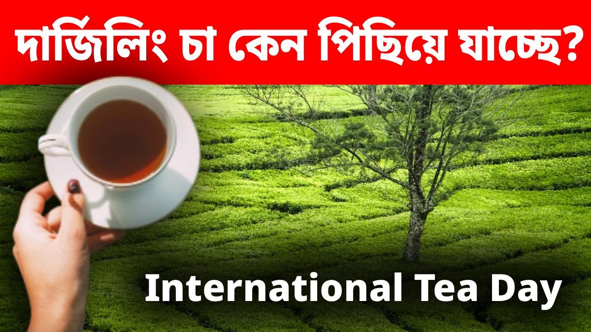 অর্থোডক্স চা'এ বাজিমাত অসমের