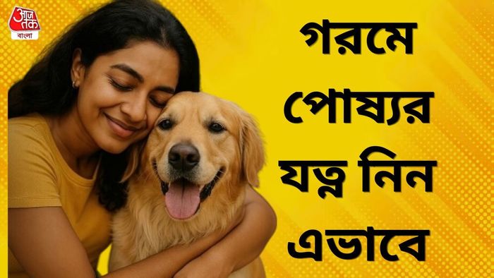প্রতীকী ছবি
