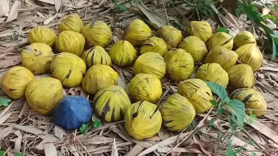 বীরভূমে বাঁশঝাড় থেকে ৩১টি তাজা বোমা উদ্ধার, ঘিরে ফেলা হল গোটা এলাকা বীরভূমে বাঁশঝাড় থেকে ৩১টি তাজা বোমা উদ্ধার, ঘিরে ফেলা হল গোটা এলাকা