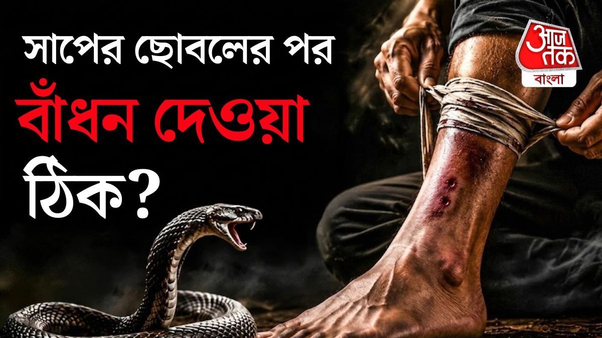 ভুল ভাবে বাঁধন দিলে রক্ত চলাচল বন্ধ হয়ে গিয়ে বড় বিপদও হতে পারে। 