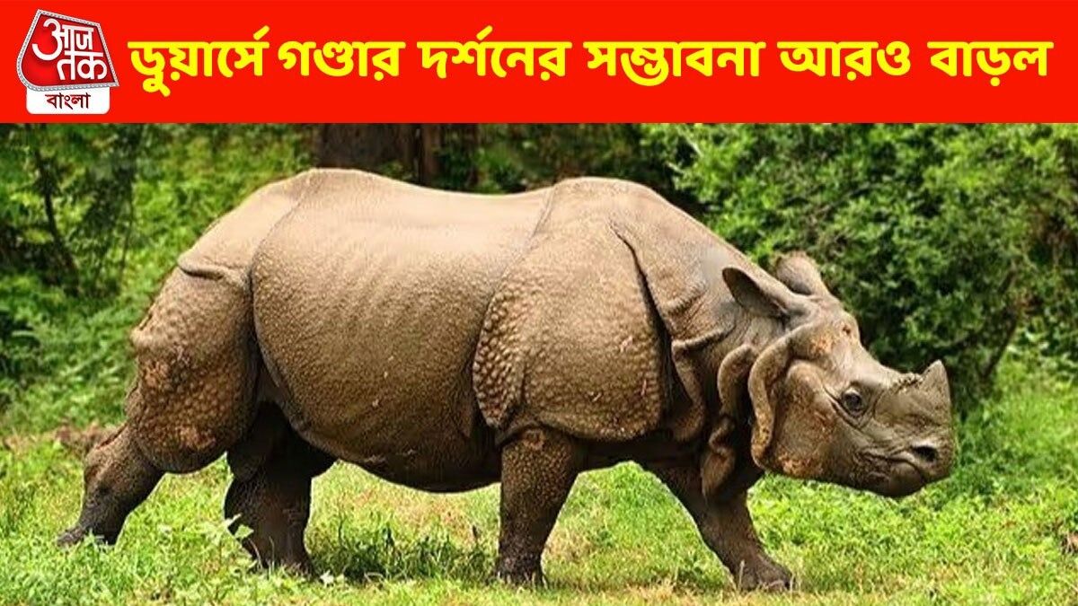 খুশির খবর ডুয়ার্সে, পুজোর আগেই খুলছে বন্ধ জোড়া বনবাংলো, বাড়তি সাফারিও