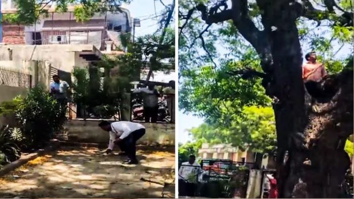 ব্যাগ খুলে একের পর এক ৫০০ টাকার নোট ছুড়ে ফেলতে শুরু করে সে।