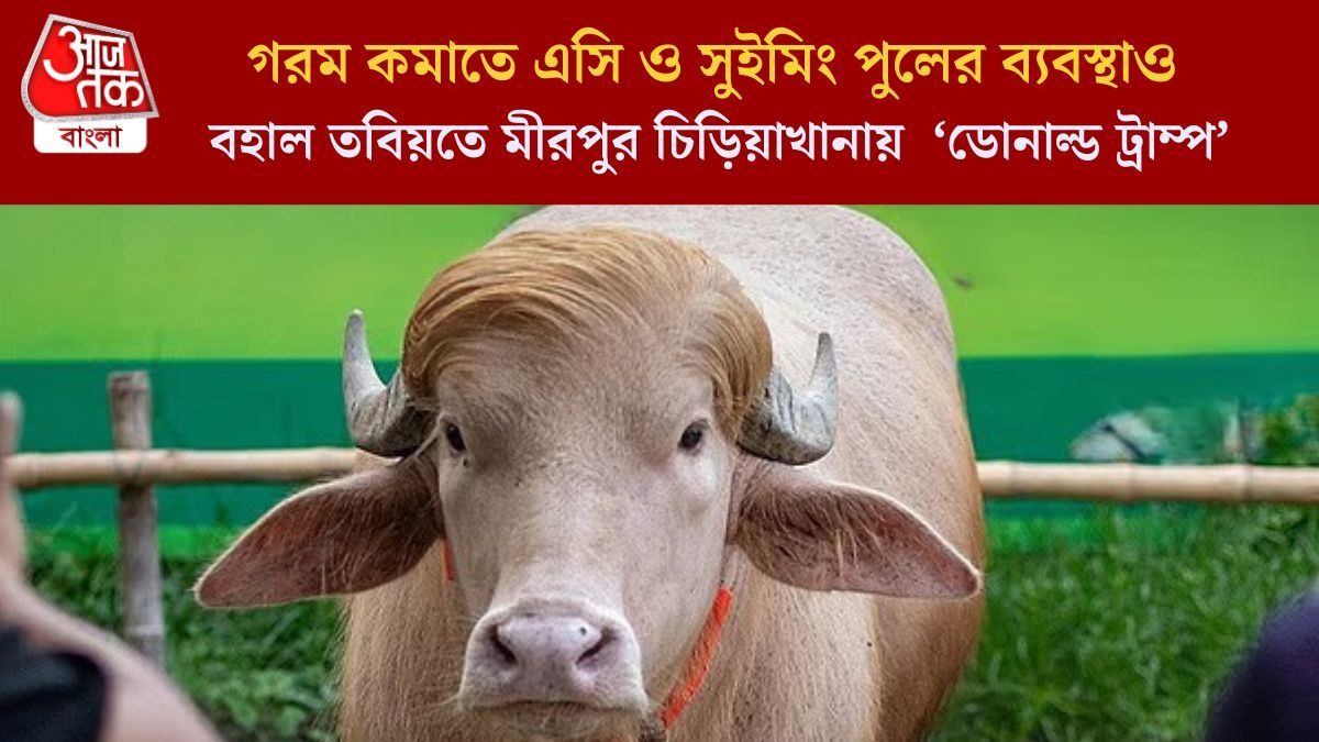 বহাল তবিয়তে মীরপুর চিড়িয়াখানায়  ‘ডোনাল্ড ট্রাম্প’