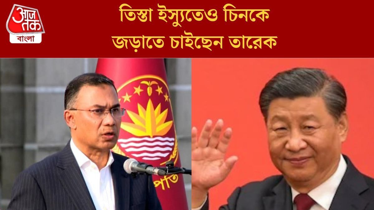 তারেক রহমান ও জিনপিং 
