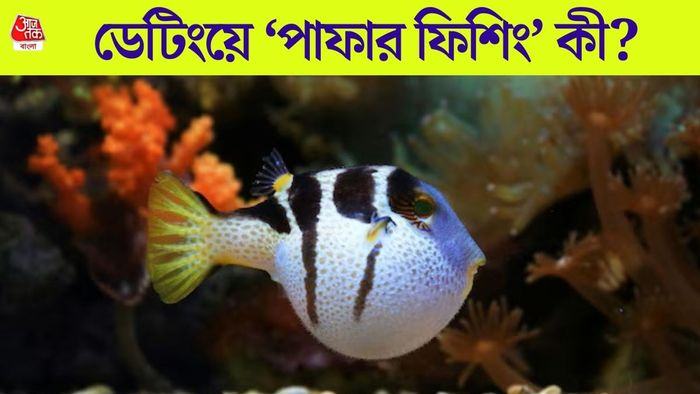 পাফার ফিশ