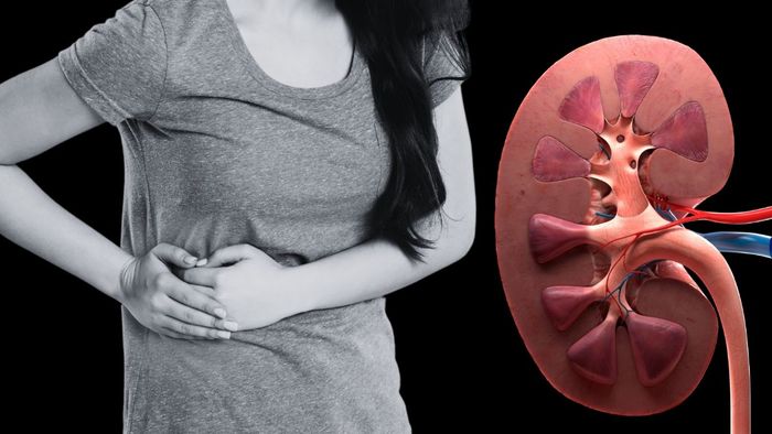 Summer Kidney Care: তীব্র দাহদাহে বিকল হতে পারে কিডনি! সুস্থ থাকার বিশেষজ্ঞদের দাওয়াই