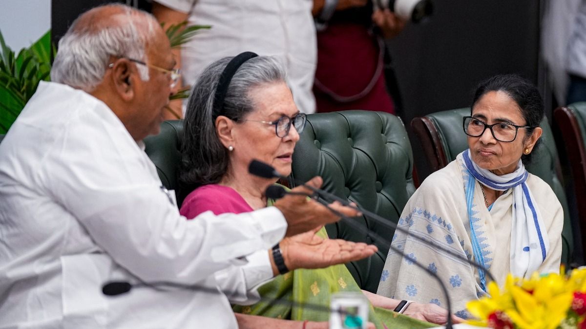 SIR নিয়ে অ্যাকশন, আরও কী কী সিদ্ধান্ত? INDIA জোটকে নিয়েই শেষ বাজি মমতার