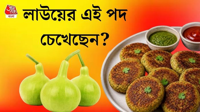 লাউ টিক্কি রেসিপি