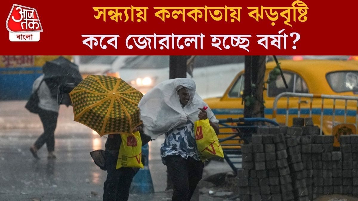 নতুন সপ্তাহে গোটা দক্ষিণবঙ্গে বর্ষা-তুমুল বৃষ্টি, কোন জেলায় কী সতর্কতা?