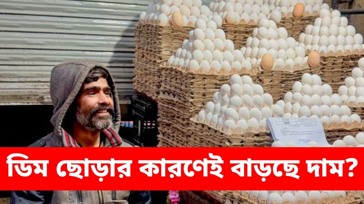 ডিমের দামে আগুন, এক ধাক্কায় বেড়ে গেল ২০ টাকা; মাথায় হাত মধ্যবিত্তের