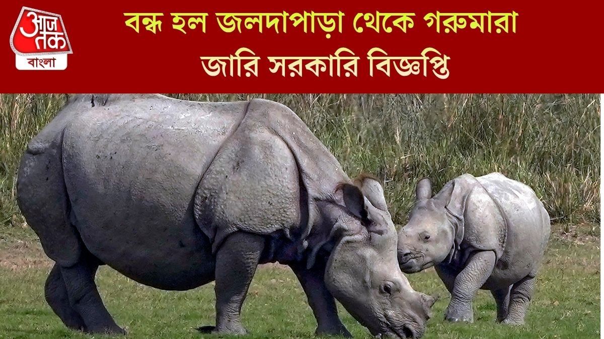  আজ থেকে পর্যটকদের জন্য বন্ধ ডুয়ার্স সহ উত্তরবঙ্গের সব জঙ্গল, কবে খুলবে?