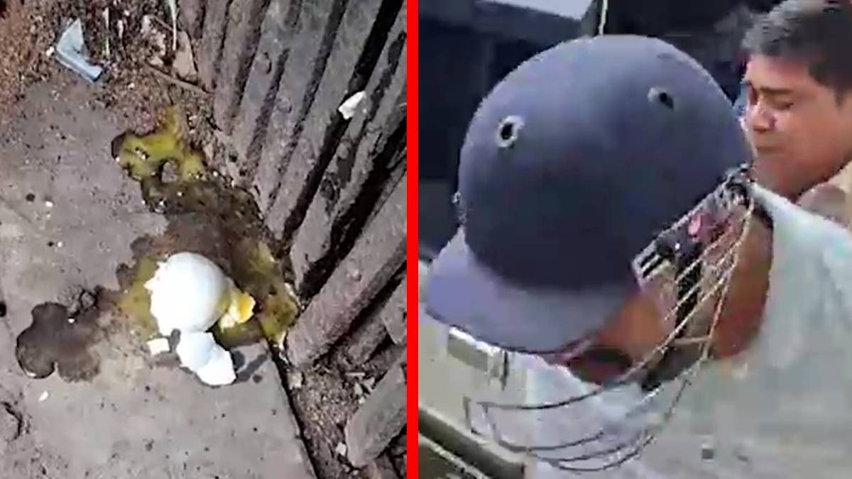 আদালত চত্বরেই কাঁচা কুসুমে মাখামাখি TMC নেতা, ডিম থেরাপি চলছেই
