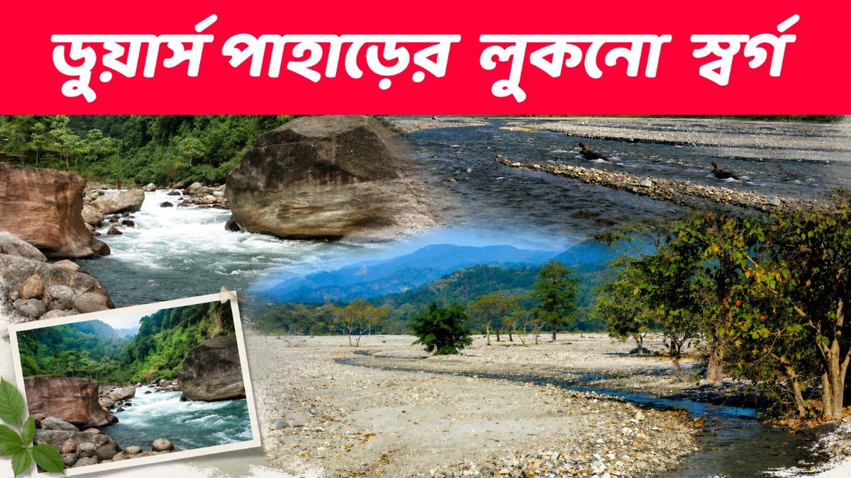 Bhatti Dooars Travel Guide: ডুয়ার্সের কোলে সাজানো স্বর্গ, মূর্তি নদীর ধারের এই জায়গার নাম শোনেনি অনেকেই