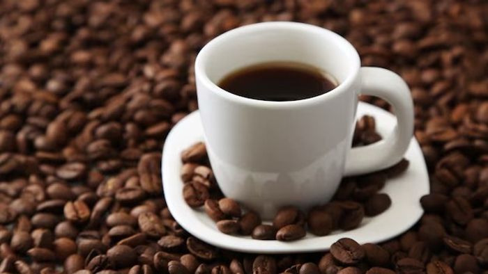 Protein Coffee: ফিটনেস ফ্রিকদের জন্য ট্রেন্ডিং ‘প্রফি’, মেদ ঝরাতে প্রোটিন কফির কার্যকারিতা কতটা?